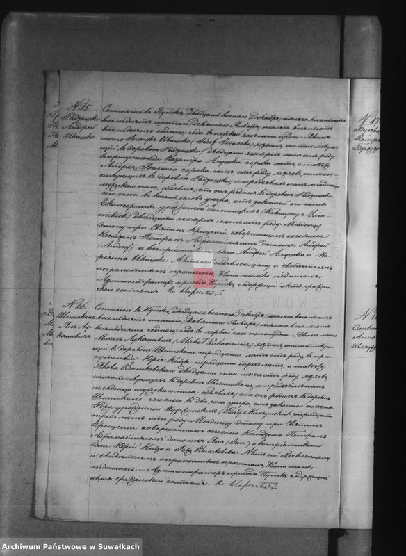 image.from.unit.number "Dublikat o roždennych, brakosočetavšichsja i umeršich punskago rimsko-katoličeskago prichoda s 1887 goda"