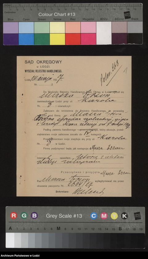 Obraz 3 z jednostki "Masza Erzon- drobna sprzedaż galanterii, gipsu i kredy"