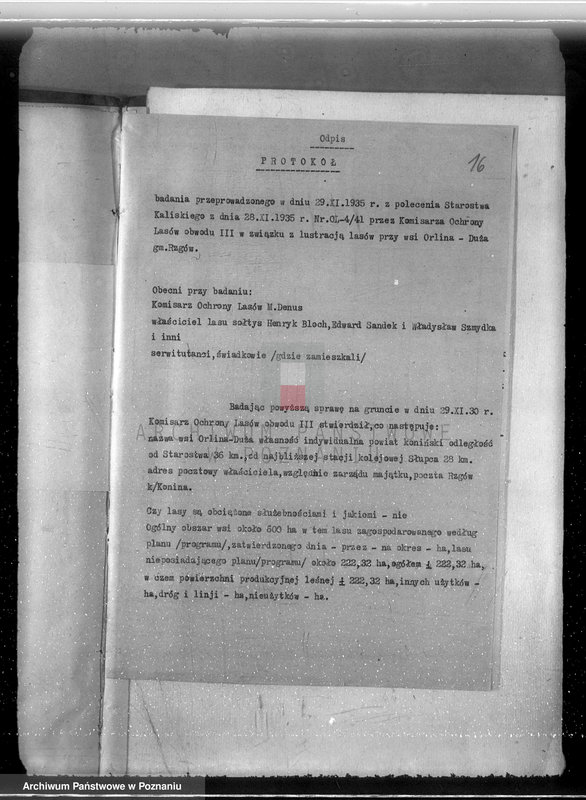 Obraz 20 z jednostki "Gmina Rzgów powiat koniński /nadzór nad gospodarką leśną/"