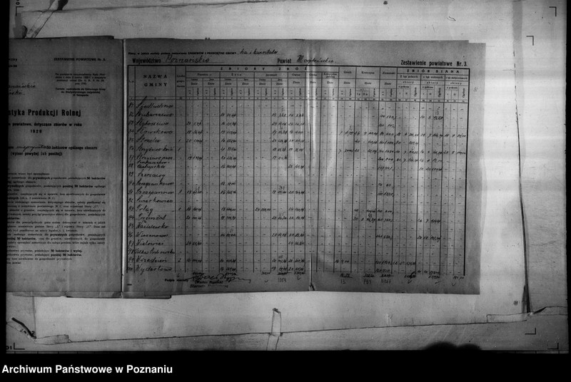 Obraz 16 z jednostki "/Statystyka produkcji rolnej - zestawienie powiatowe - Mogilno/"