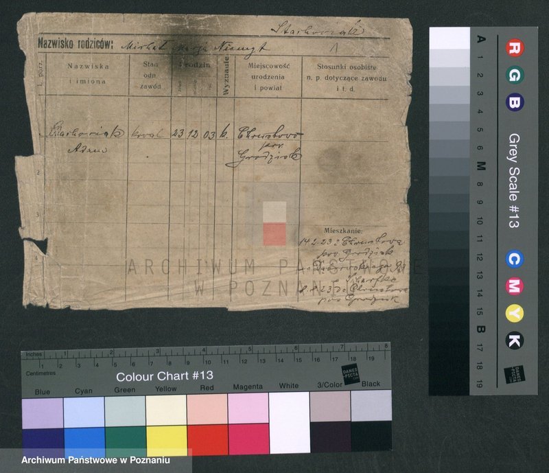 Obraz 4 z jednostki "Stachowiak (samotni mężczyźni i kobiety)"