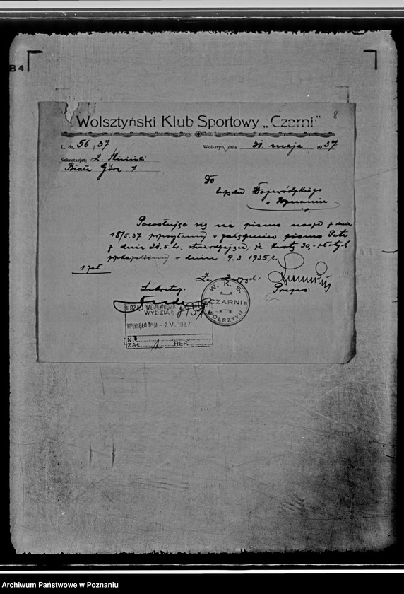 Obraz 12 z jednostki "/Wolsztyński Klub Sportowy,,Czarni" w Wolsztynie/"