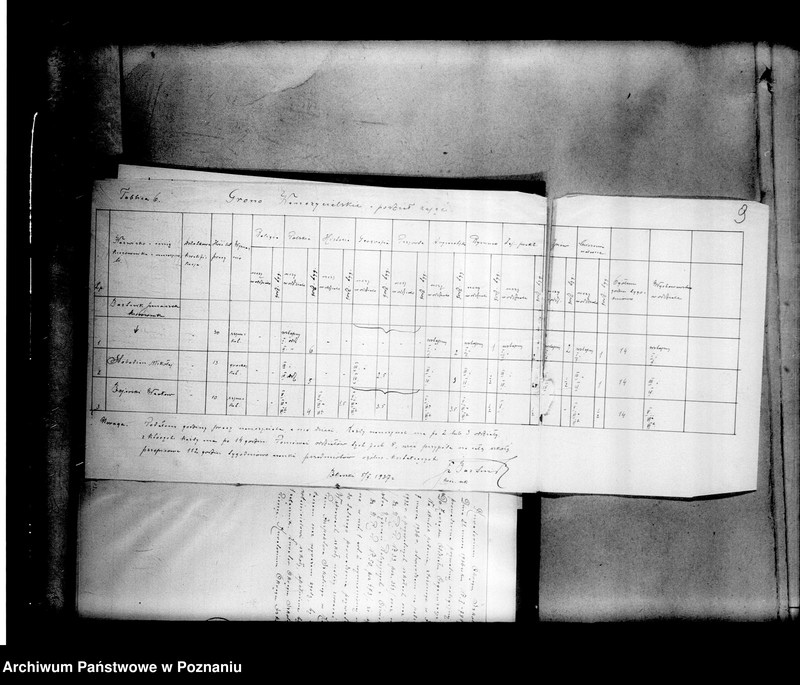 Obraz 14 z jednostki "Prywatna Szkoła Powszechna "Jesodej Hatora" z polskim językiem nauczania w Błaszkach"