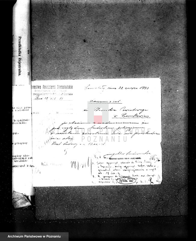 Obraz 19 z jednostki "Zatwierdzenie zakładu przemysłowego rzeźni Leona Adamczaka w Gulczu pow. czarnkowski"