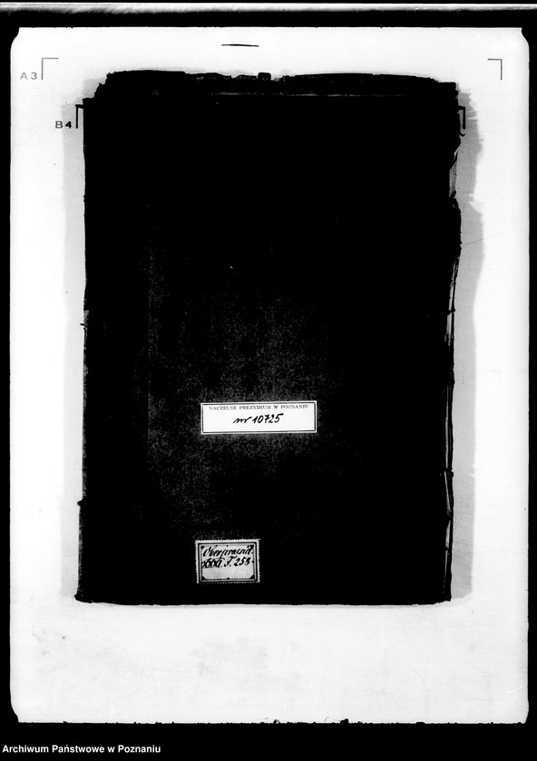 Obraz 4 z jednostki "Personalia des Regierungstranslateurs Herrn Wenus, jetzigen Sekretär beim königlichen Konsistorio und Schulkollegio."