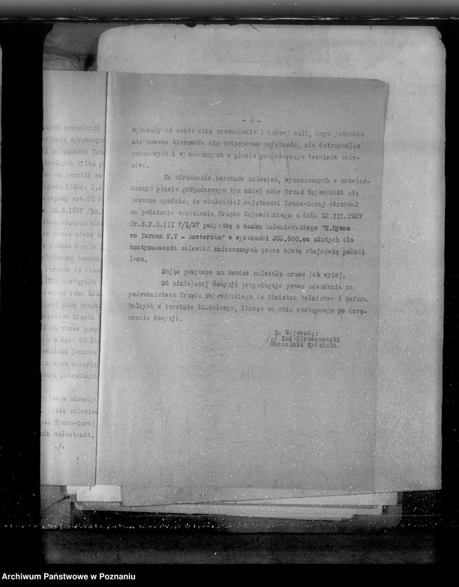 Obraz 8 z jednostki "Sprawa zalesienia majątku Krucz-Goraj"