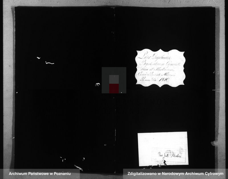 image.from.unit.number "Duplicatus baptisatorum, copulatorum, mortuorum"