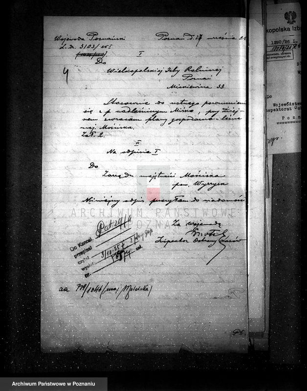 Obraz 8 z jednostki "Majętność leśna Kostrzynek-Mościska powiat wyrzyski"