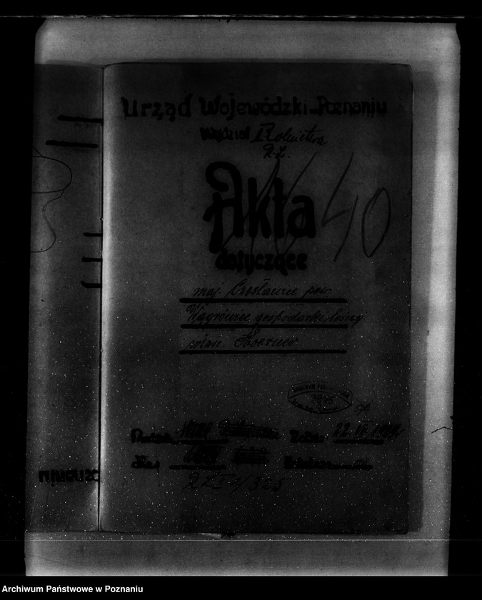 Obraz 4 z jednostki "Majętność leśna Czesławice powiat wągrowiecki własność Koerner"