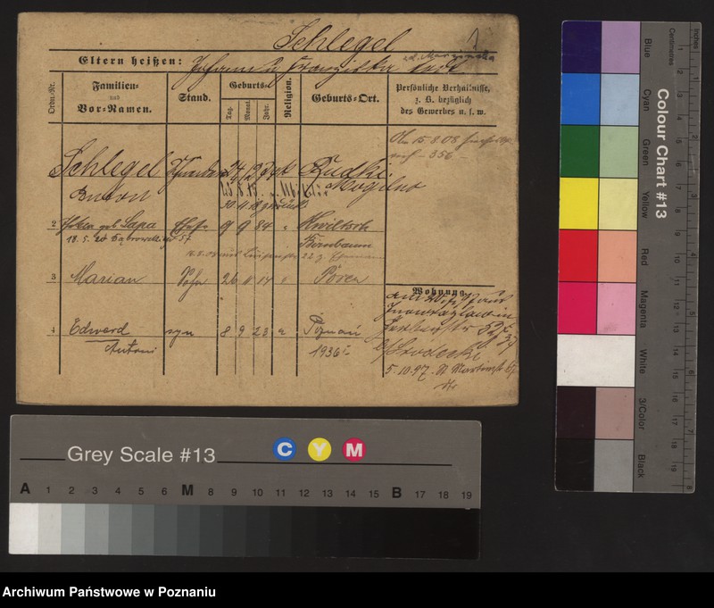 Obraz 6 z jednostki "Szlefer - Szliżewski"