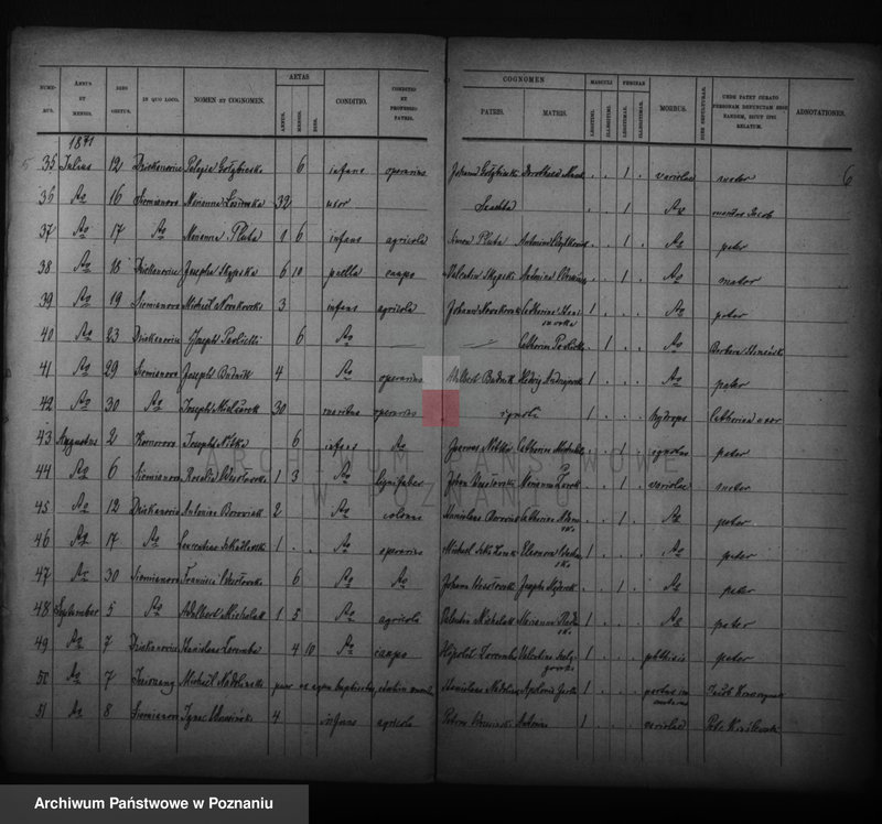 image.from.unit.number "Duplikat zmarłych"