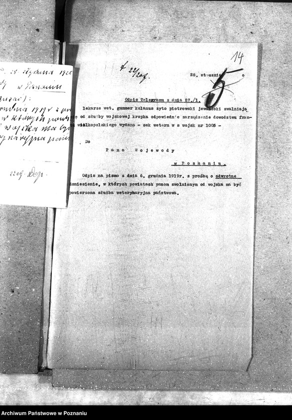 Obraz 18 z jednostki "Weterynarze Powiatowi [specjalne]"