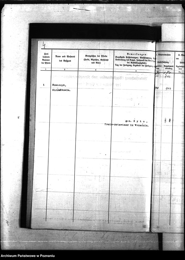 Obraz 8 z jednostki "Nosacizna - Września"