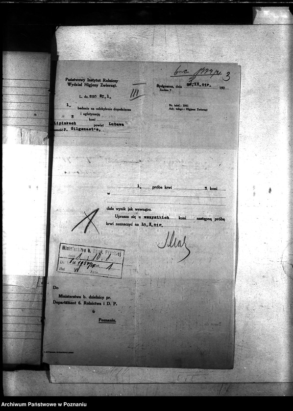 Obraz 7 z jednostki "Nosacizna - Lubawa"