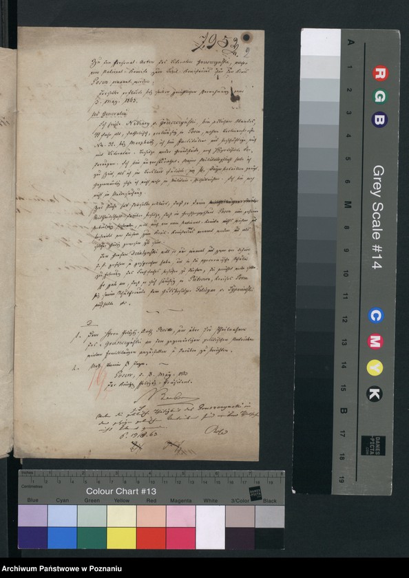 Obraz 5 z jednostki "A. betr. Nikary von Gruszczyński"