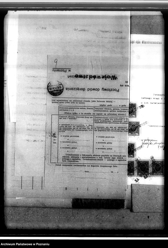 Obraz 13 z jednostki "Las majętności Wierzbiczany w powiecie inowrocławskim"