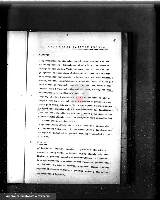 Obraz 9 z jednostki "Operat urządzeniowy lasów ordynacji Wróblewa Przem. Hr. Kwileckiego 1931-1941"