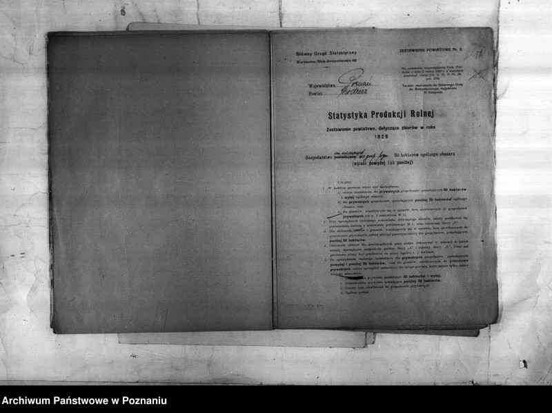 Obraz 19 z jednostki "/Statystyka produkcji rolnej - zestawienie ogólne z powiatu chodzieskiego"