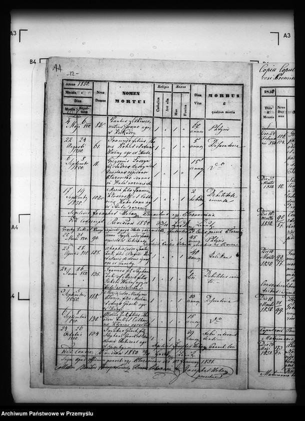 image.from.unit.number "[Kopie ksiąg metrykalnych parafii Płazów z filiami Grochy, Huta Różaniecka, Ruda Różaniecka, Żuki, Kuryje (dekanat Cieszanów)]"