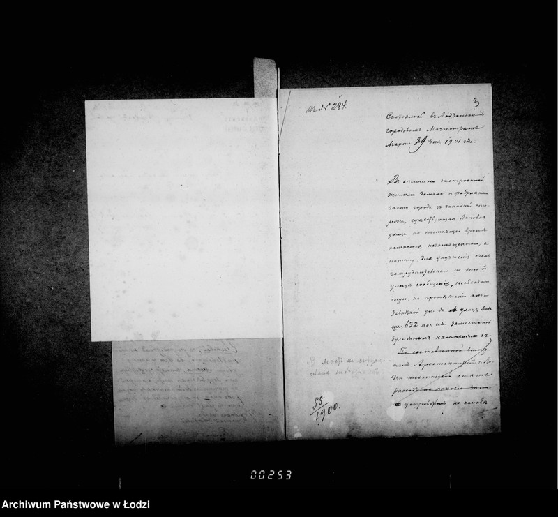 Obraz 8 z jednostki "O zamoščenji Lipovoj ulicy"