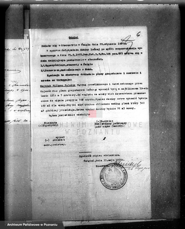 Obraz 11 z jednostki "Majętność /leśna/ Wilkowo Polskie powiat kościański"