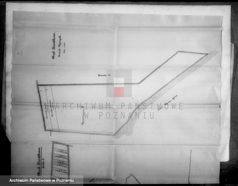 Obraz 8 z jednostki "Majątek Jeziorki Kosztowskie powiatu wyrzyskiego wyłączenie z art. 4/5 ustawy o wykonaniu reformy rolnej Ernst Buttner"