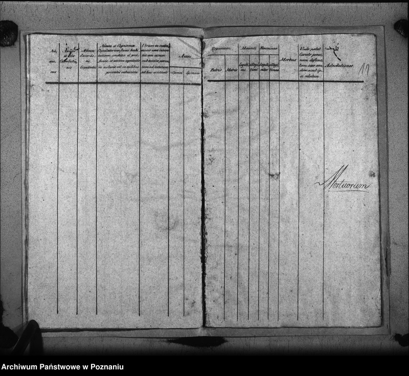 image.from.unit.number "Liber baptisatorum, copulatorum, mortuorum"