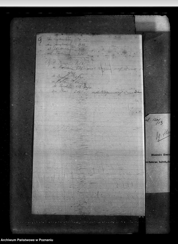 Obraz 13 z jednostki "Sprawy stadnin stadniny - ogólne zarządu stadnin"