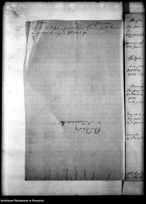 Obraz 11 z jednostki "Pasy z Belgii - gen."