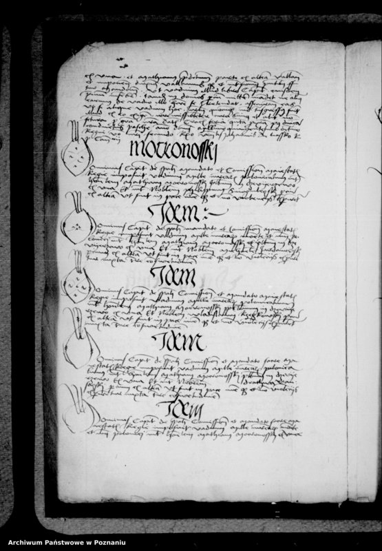 Obraz 16 z jednostki "Inscriptiones, relationes, decreta [inducta]"