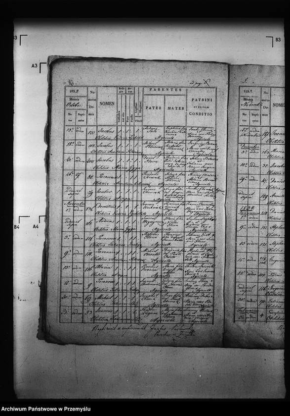 Obraz 20 z jednostki "[Kopie ksiąg metrykalnych parafii Zawadów (dekanat Niemirów)]"