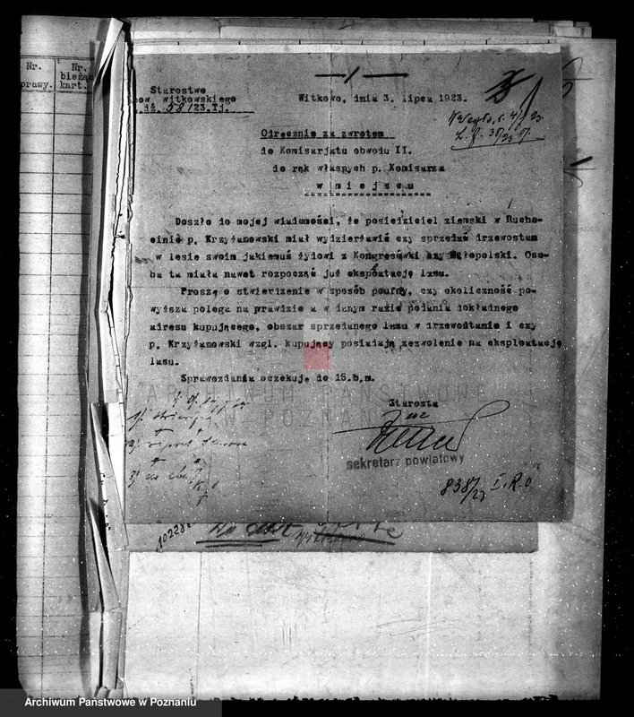 Obraz 5 z jednostki "Nadzór nad gospodarką w lasach majętności Ruchocin powiecie gnieźnieńskim"