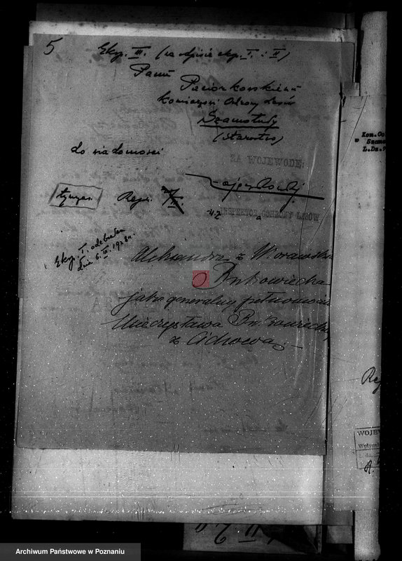 Obraz 9 z jednostki "Nadzór nad gospodarką w lasach majętności Cichowo powiat kościański"