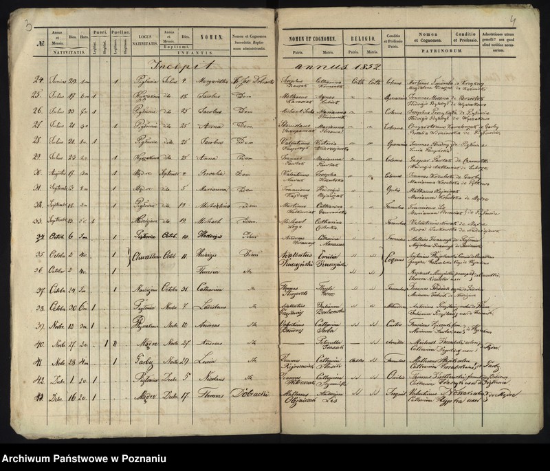 Obraz 5 z jednostki "Liber baptisatorum"