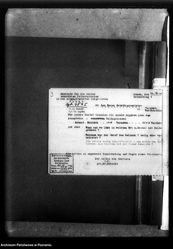 Obraz 7 z jednostki "Robert (August?) Kalisch (Rosko, powiat Chodzież"