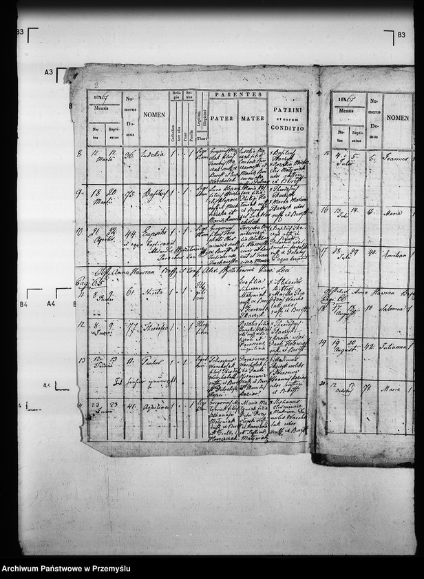 Obraz 6 z jednostki "[Kopie ksiąg metrykalnych parafii Berest z filią Polany (dekanat Grybów)]"