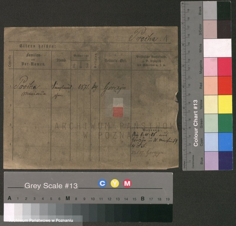 Obraz 3 z jednostki "Procha - Pruban"