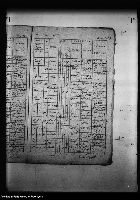 Obraz 17 z jednostki "[Kopie ksiąg metrykalnych parafii Zawadów (dekanat Niemirów)]"
