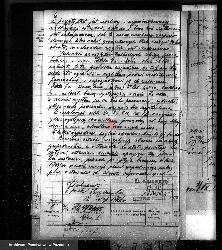 Obraz 10 z jednostki "Majętność leśna Sokołowice powiat kościański"