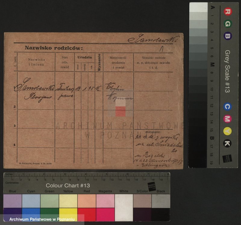 Obraz 5 z jednostki "Samolewski - Sapuchowski"