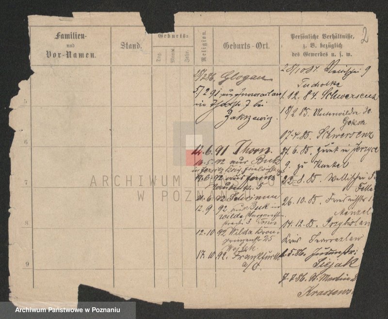 Obraz 4 z jednostki "Chudysiewicz - Chyczewski"