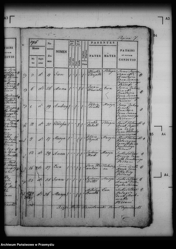 image.from.unit.number "[Kopie ksiąg metrykalnych parafii Paportno z filią Sopotnik i Kropiwnik (dekanat Dobromil)]"