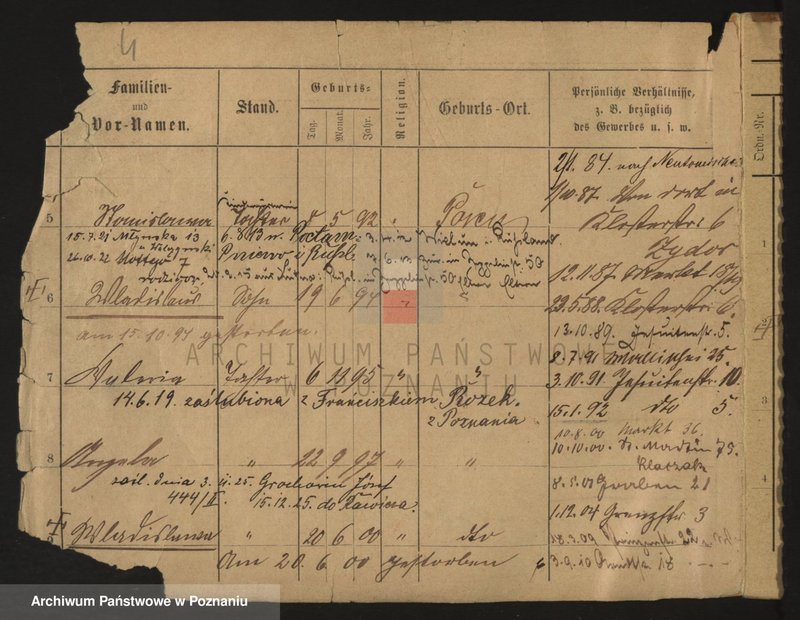 Obraz 4 z jednostki "Kla - Klajne (Klei..)"