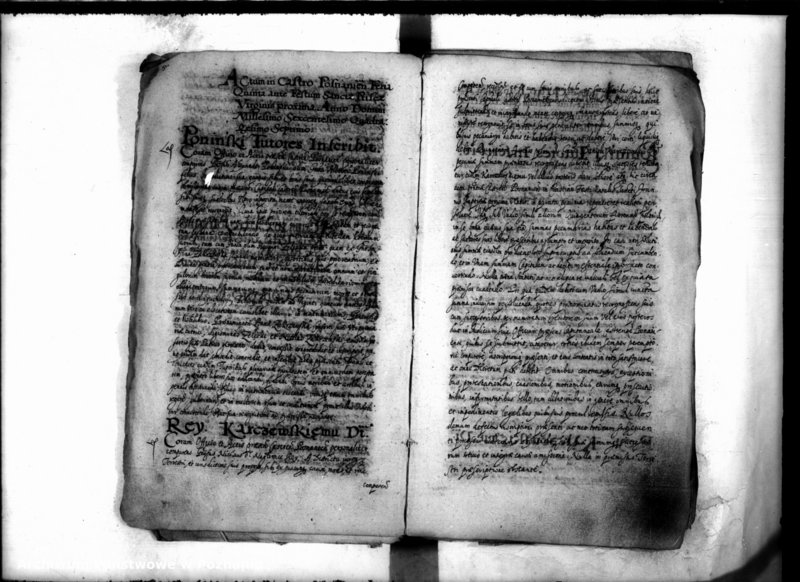 Obraz 8 z jednostki "Inscriptiones [inducta]"