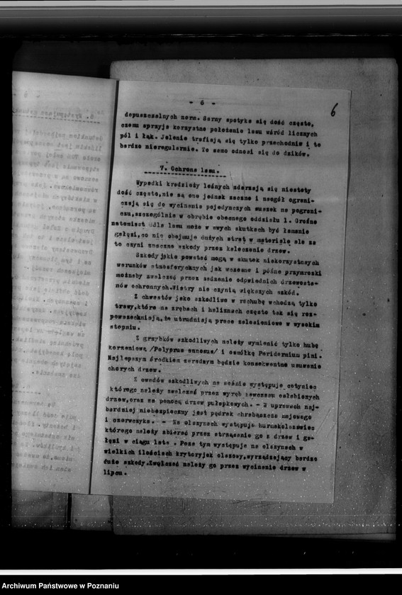 Obraz 10 z jednostki "Program urządzania gospodarstwa leśnego majętności Brachlin -powiat kościański"