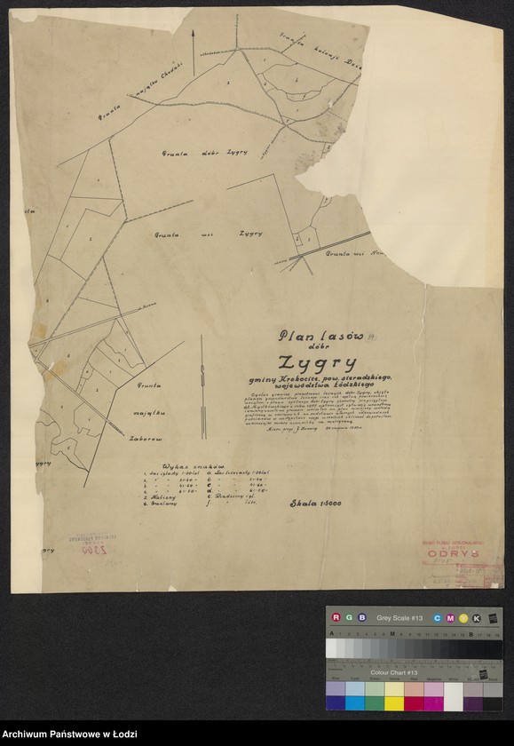 Obraz 1 z jednostki "Plan lasów dóbr Zygry gminy Krokocice, powiatu sieradzkiego, województwa łódzkiego"