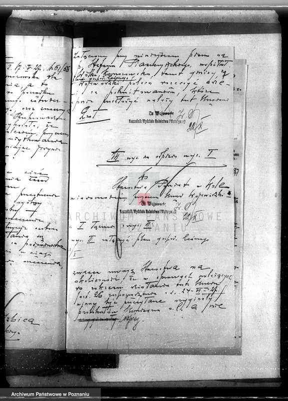 Obraz 11 z jednostki "Sprawa zniesienia nakazu zabraniającego prowadzenia użytkowania lasu w majątku Wólka-Komorowska powiat kolski gmina Izbica"