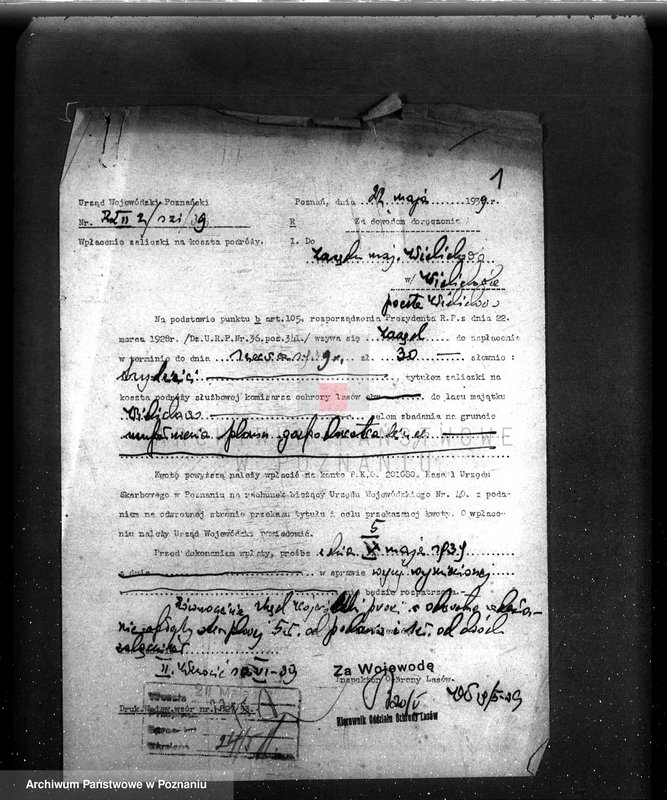 Obraz 5 z jednostki "/Las majątku Wielichowo/"