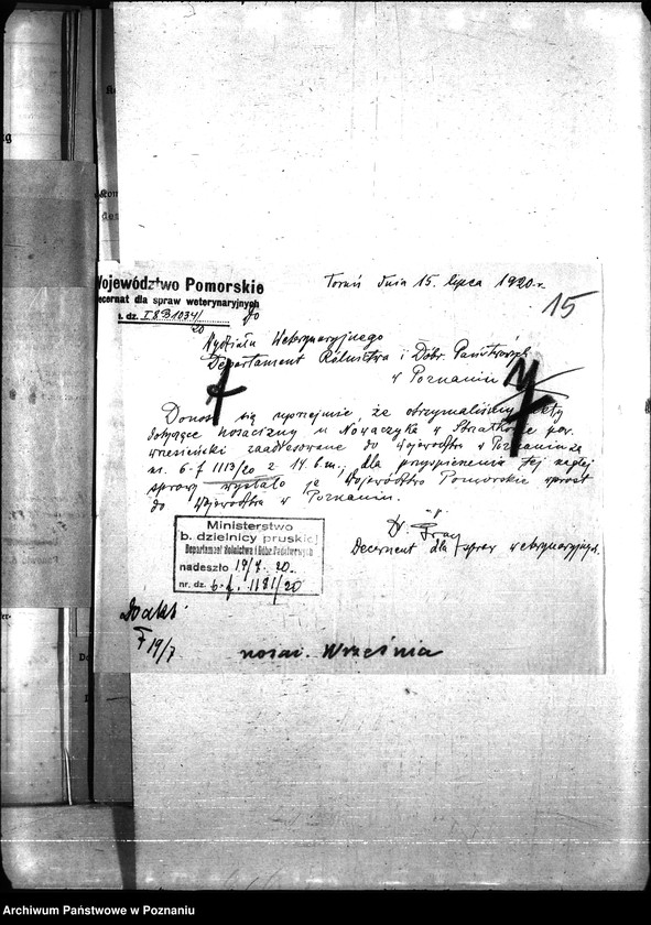 Obraz 19 z jednostki "Nosacizna - Września"