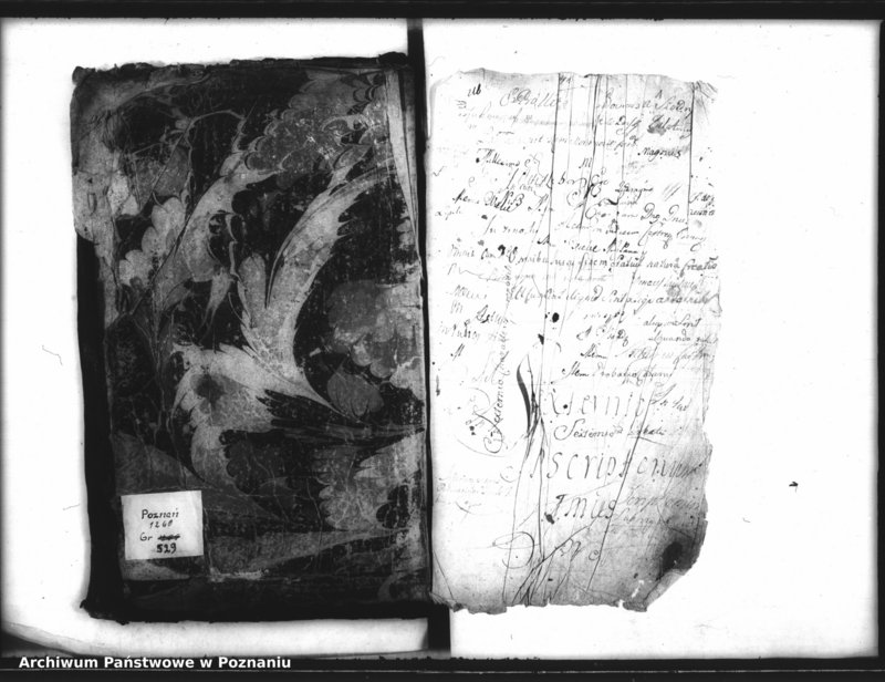 Obraz 3 z jednostki "Inscriptiones, resignationes [protocollon]"